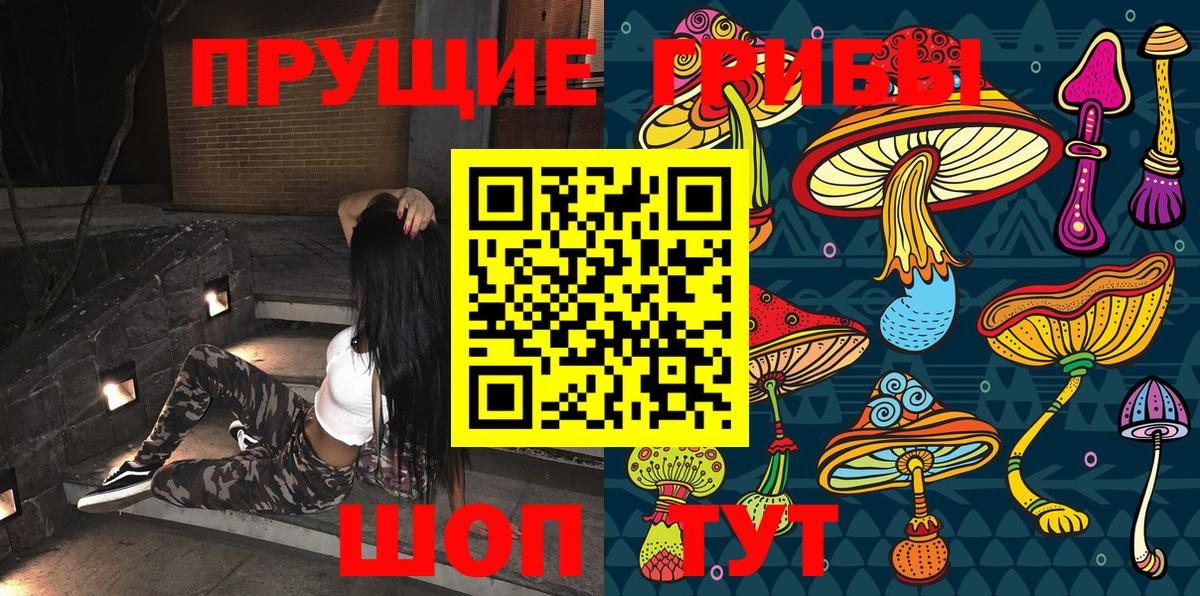 Псилоцибиновые грибы ЛСД  где купить   Тамбов  Вход с VPN 