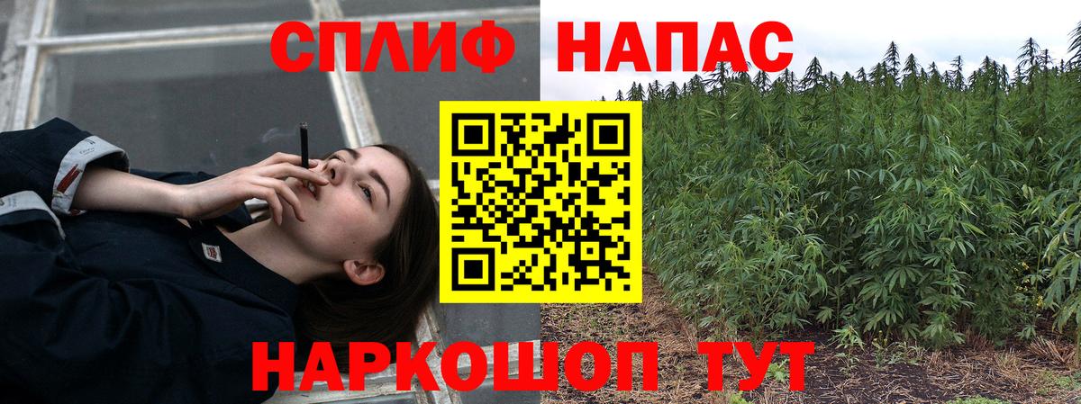 Шишки марихуана ГИДРОПОН Тамбов